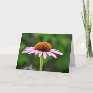 Coneflowers Card
