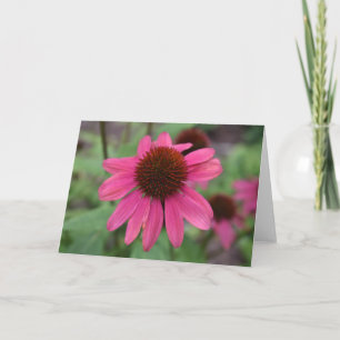 Coneflowers Greeting Card