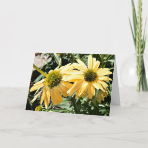 Coneflowers Greeting Card