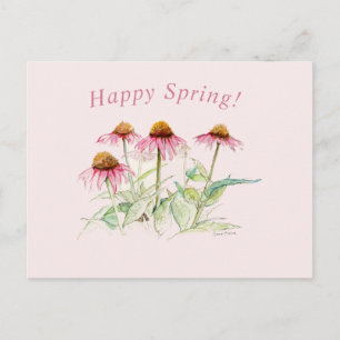 Coneflowers  postcard