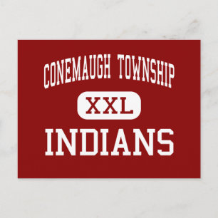 Conemaugh Township - Indians - Area - Davidsville Postcard