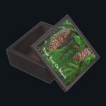 Cones And Needles Gift Box<br><div class="desc">Green conifer branches and cones. Add your own text.</div>