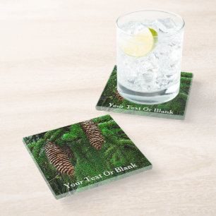 Cones And Needles Glass Coaster