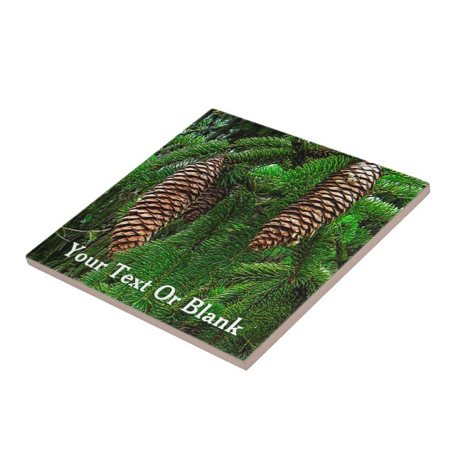 Cones And Needles Tile (Side)