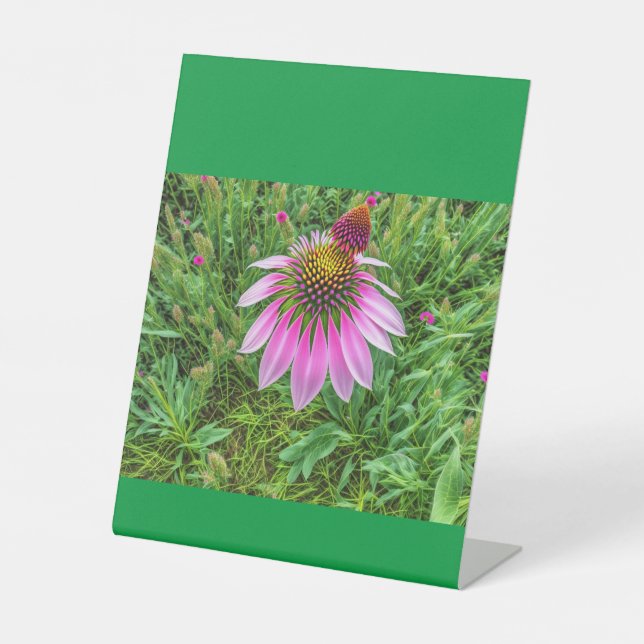 Cones Love  Pedestal Sign (Front)