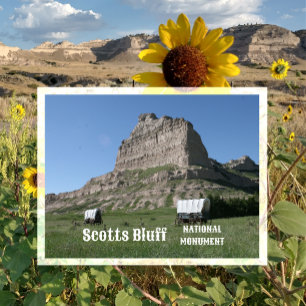 Conestoga Wagons, Scotts Bluff National Monument Postcard