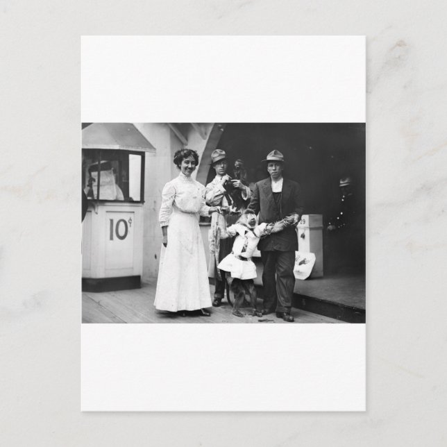 Coney Island Monkey Business Postcard (Front)