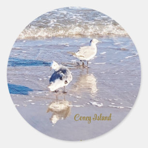 Coney Island Seagulls  Classic Round Sticker