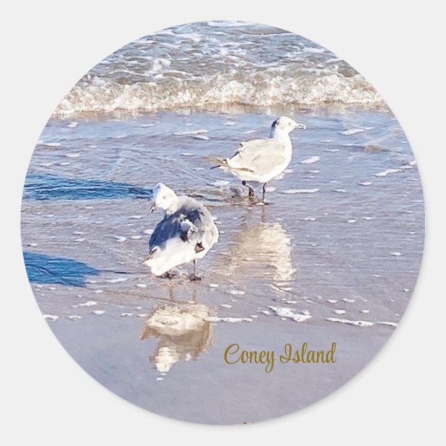 Coney Island Seagulls  Classic Round Sticker (Front)