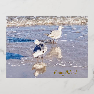 Coney Island Seagulls  Foil Holiday Postcard