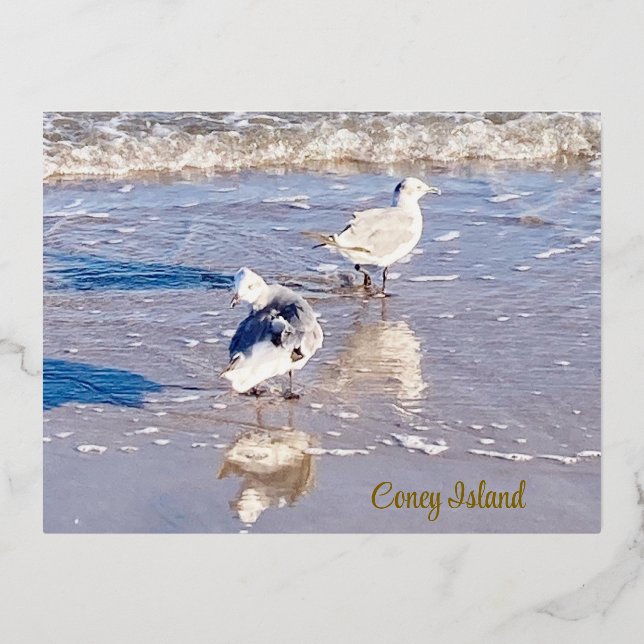Coney Island Seagulls  Foil Holiday Postcard (Front)