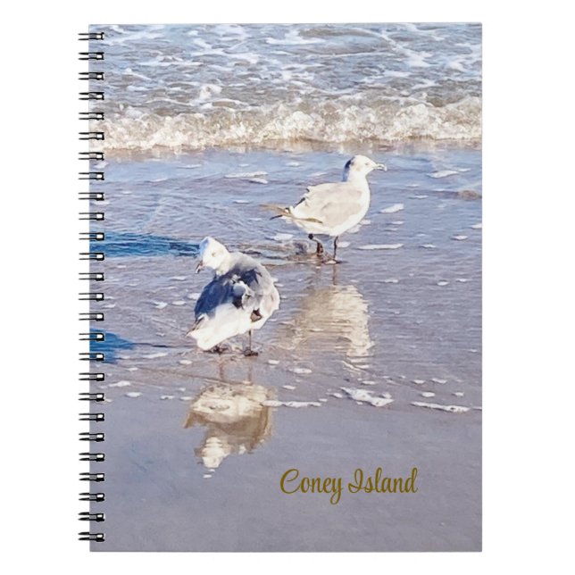 Coney Island Seagulls  Notebook (Front)