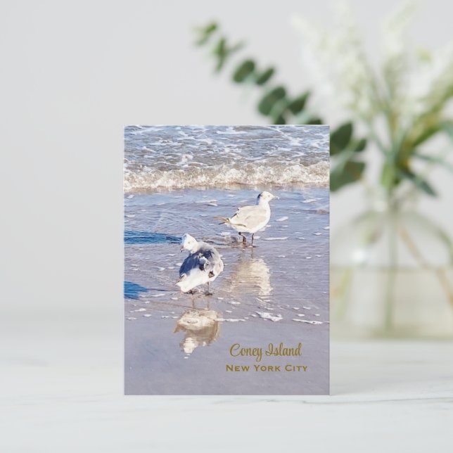 Coney Island Seagulls  Postcard (Standing Front)