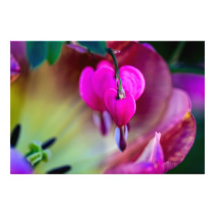 Confession Of Love Photo Print