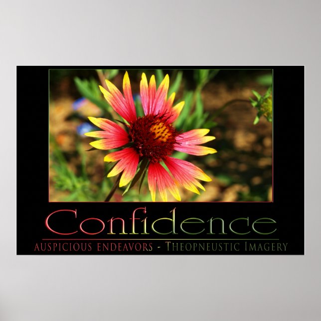 Confidence Poster (Front)