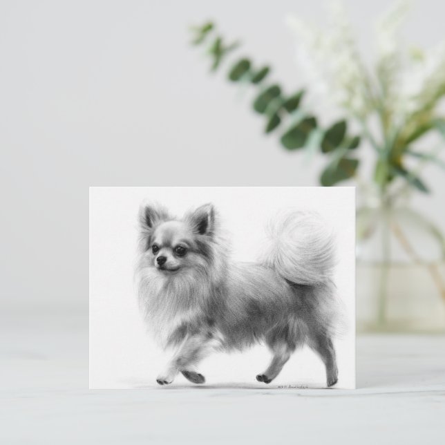 Confident Steps Hand Painted Chihuahua Postcard (Standing Front)