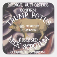 CONFIRMED TRUMP'S NECK SCROTUM IS PREGNANT