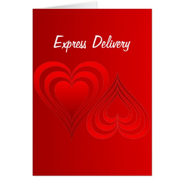 Conformist Free Zone - Express Delivery (Front)