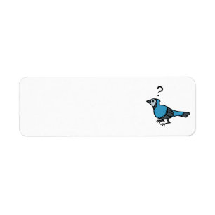 Confused Bird