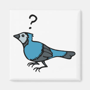Confused Bird Magnet