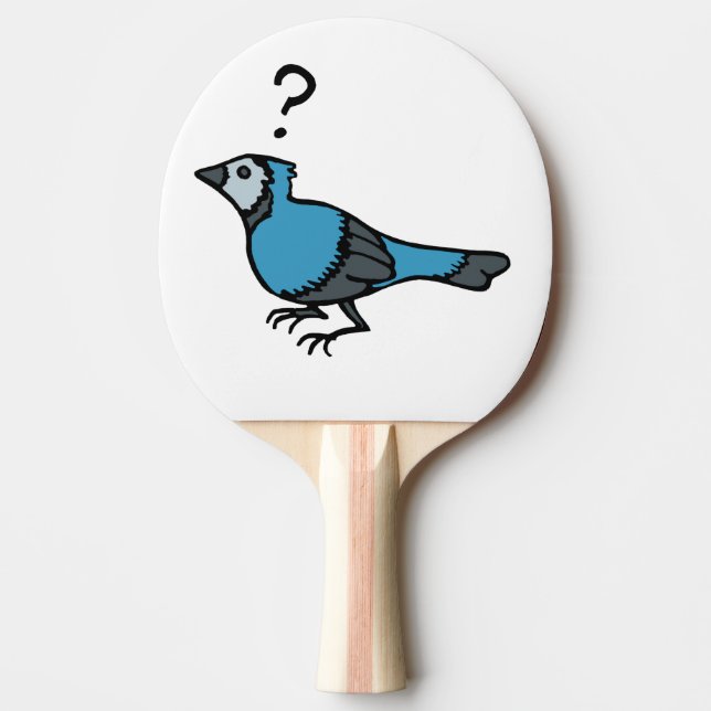 Confused Bird Ping Pong Paddle (Front)