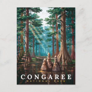 Congaree National Park Cypress Forest Postcard