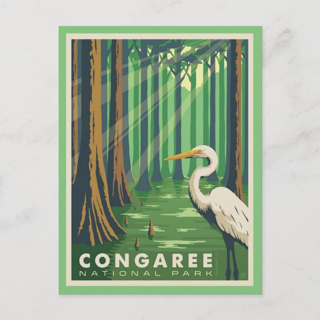 Congaree National Park SC Postcard (Front)