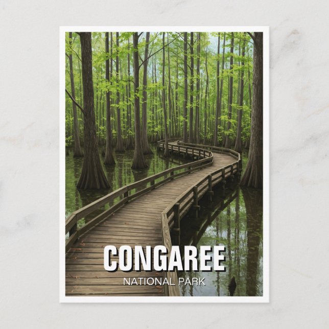Congaree National Park South Carolina Travel Postcard (Front)