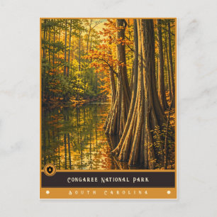 Congaree National Park   Vintage Postcard