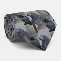 Congo African Gray Parrot in Mirror