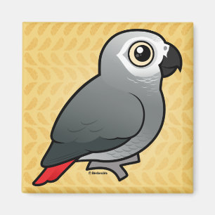 Congo African Grey Magnet