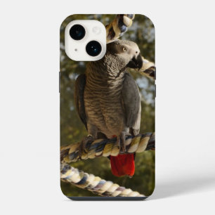 Congo African Grey on a Swing Case-Mate iPhone Cas 14 Case