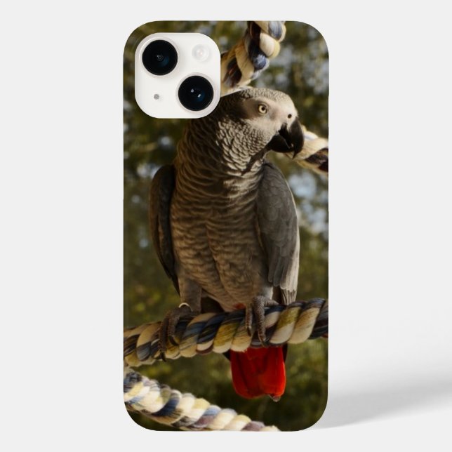 Congo African Grey on a Swing Case-Mate iPhone Cas Case-Mate iPhone Case (Back)