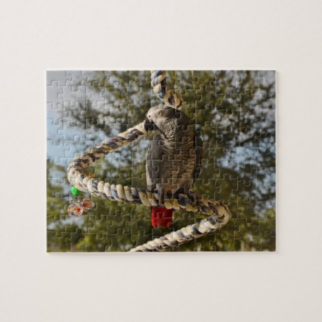 Congo African Grey on a Swing Jigsaw Puzzle (Horizontal)