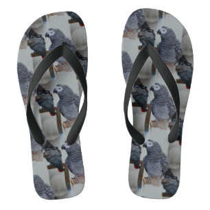 Congo African Grey Parrot in Mirror Jandals