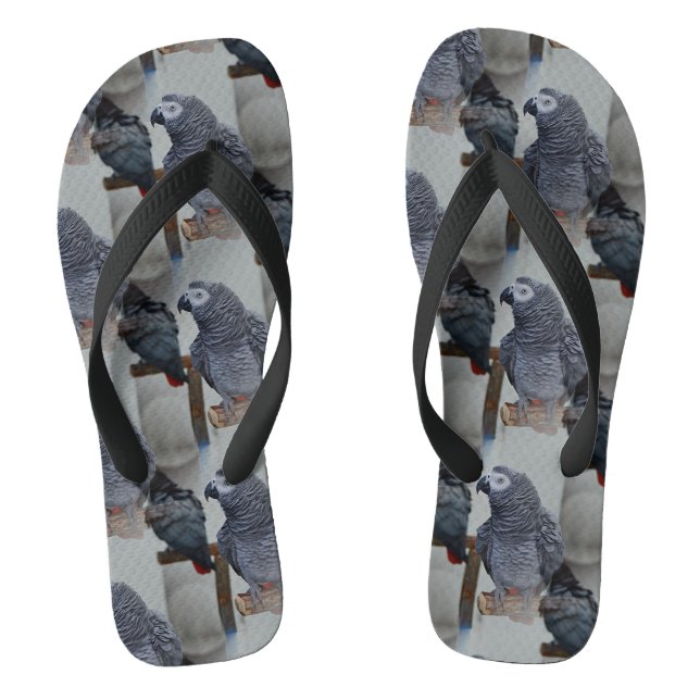 Congo African Grey Parrot in Mirror Jandals (Footbed)