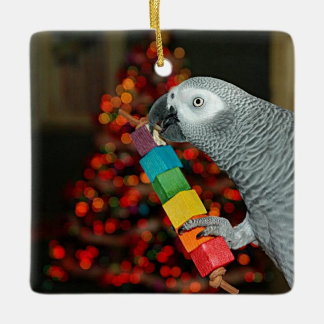 Congo African Grey Parrot Merry Christmas Tree Ceramic Ornament (Front)