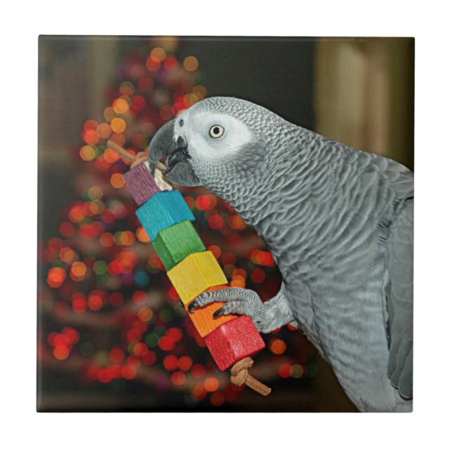 Congo African Grey Parrot Merry Christmas Tree Tile (Front)