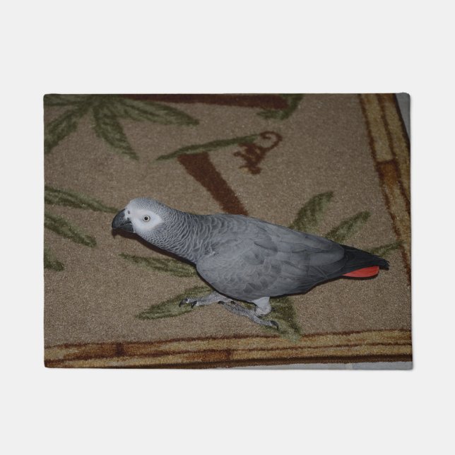 Congo African Grey Parrot on Floor Doormat (Front)