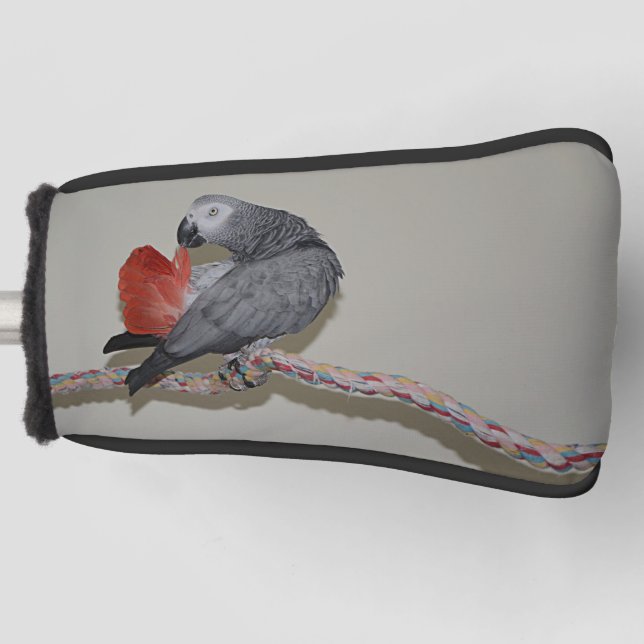 Congo African Grey Parrot Tail Preening Golf Head Cover (Front)