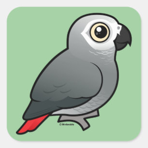 Congo African Grey Square Sticker