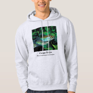 Congo tetra , Phenacogrammus interruptus Hoodie