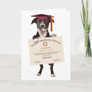 Congrats on Fetching Your Diploma Greeting Card