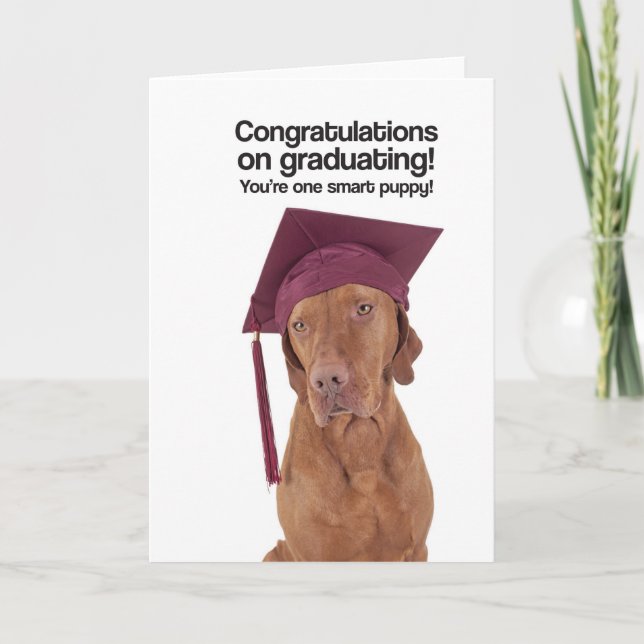 Congrats on Graduating (Vizsla) - Greeting Card (Front)