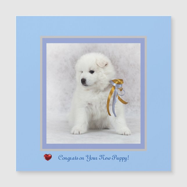 Congrats on New Samoyed Puppy Magnetic Card. (Front)