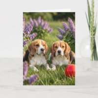 Congrats on Your New Beagles | Congratulations