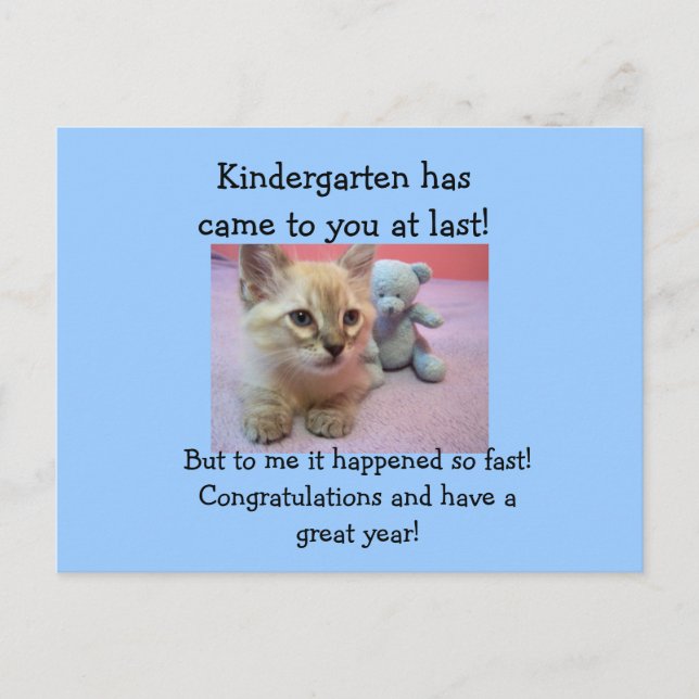 congrats to Kindergartener. Postcard (Front)