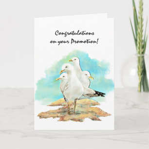 Congratulation Promotion From Gang Seagulls, bird Card