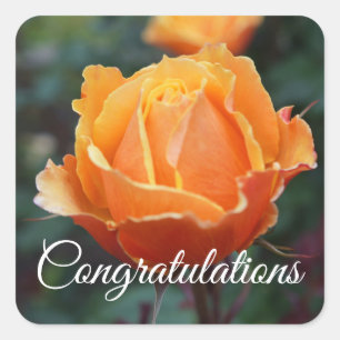 Congratulations About Face Rose #1 Stickers