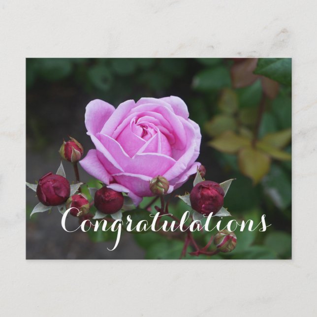 Congratulations Bishop’s Castle  #1 Postcard (Front)